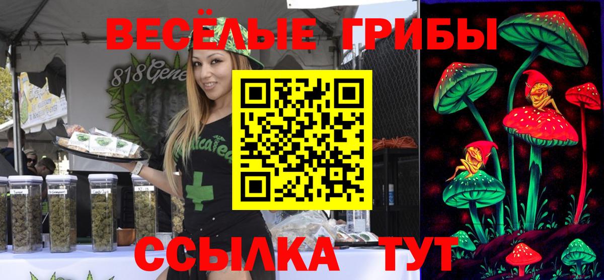Заволжье  Псилоцибиновые грибы прущие грибы  Вход с VPN 